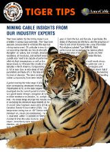 Mold-Cured vs CV-Cured Jackets