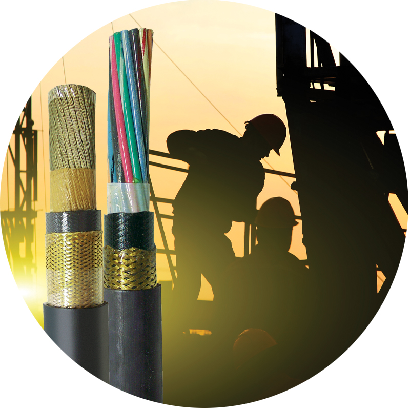 AmerCable GEXOL Type P cables