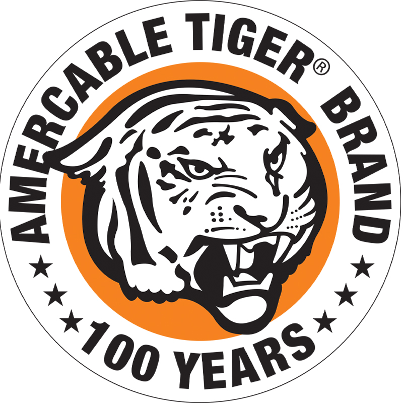 Tigeedr Brand 100 logo